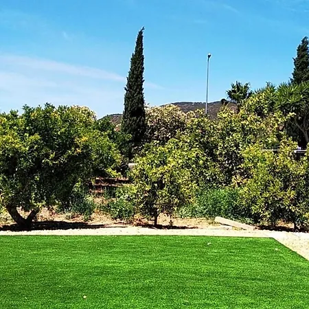 Apartment Modern In With Shared Pool.